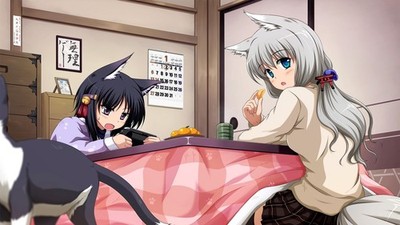 Girls Nekomimi Animal Ears Characters Jpg Anime Poster 11x17in Wall Art Decor
