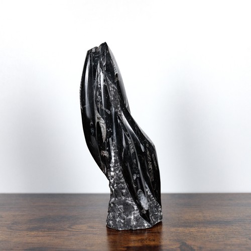 Orthoceras-Fossilturm Minerals Urtintenfisch Donnerkeil aus Marokko - Bild 2 von 7