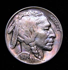 1934 Buffalo Nickel  MS++++