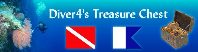 diver4streasurechest