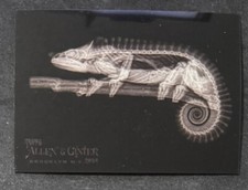 2024 Topps Allen & Ginter Baseball Oregon Zoo X-Ray'd #XR-2 Mellers Chameleon