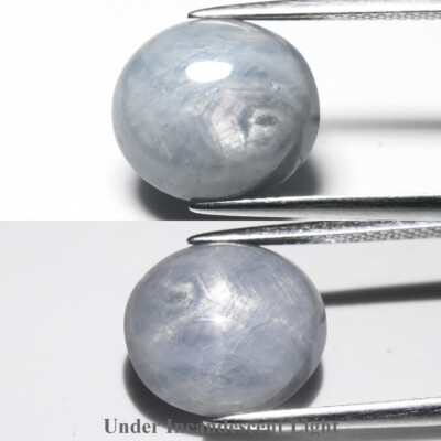   10.58ct Oval Cabochon Blue 6 Ray Star Sapphire - Unheated, Myanmar Gem