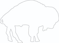 Standing Buffalo White Full Size Football Helmet Decals