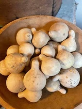 Primitive Dried Mini Spinner Gourd Bowl Fillers Bag of 10/20/30