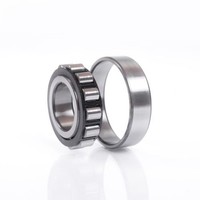 Fag N214 ETVP2C3 Zylinderrollenlager Innen-Ø 70 Mm AußEn-Ø 125 Mm Breite24 Mm