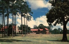 Golf Walter Wright Great Southern Gold Course Chrome Original Vintage Postcard