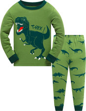 Toddler Boys Planet Pajamas Dinosaur Cotton Kids Truck 2 Piece Train Kids Pjs Sl