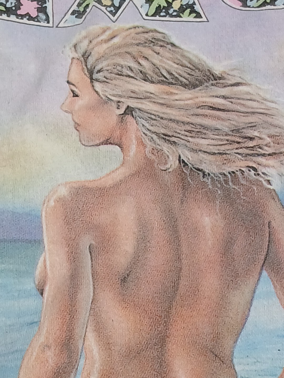 Bild 5 von 12