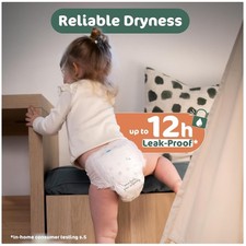 Hypoallergenic Potty Training Underwear, 12H Leak Protection