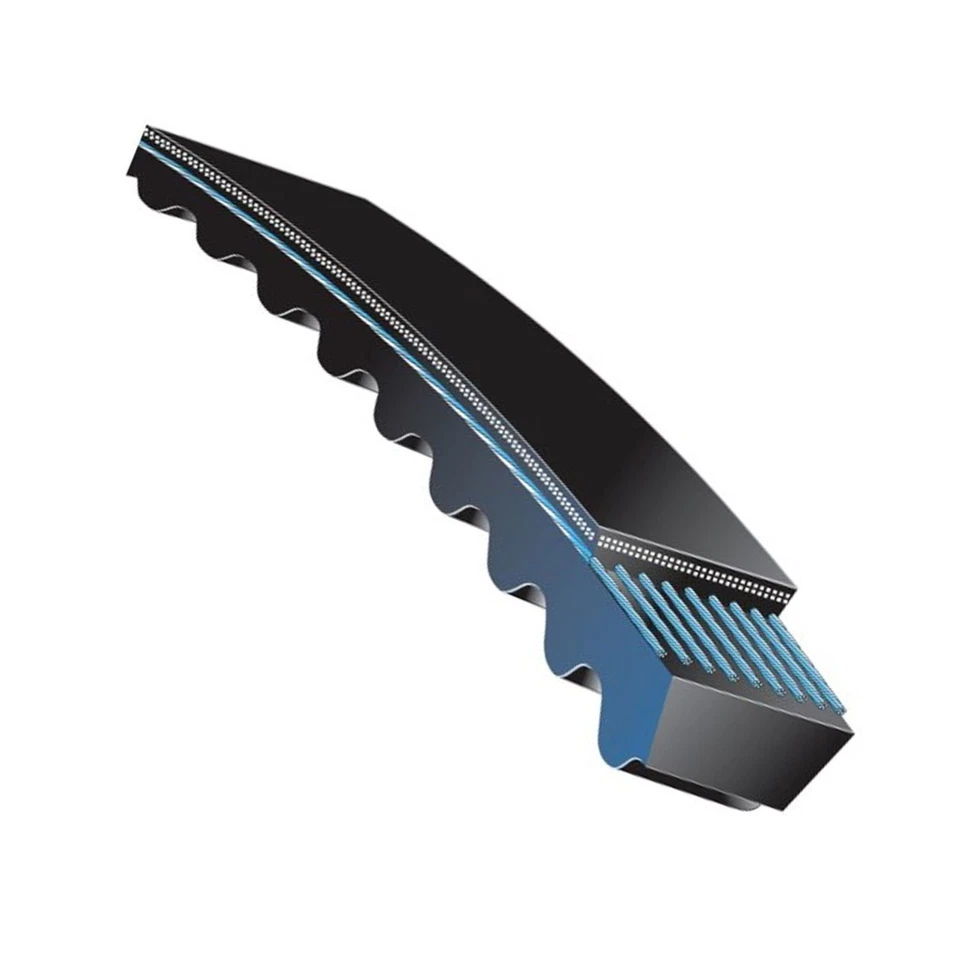 ACDelco para BMW 530i/530i xDrive 2020 V-Belt | Poliéster | Sección transversal BX62 Foto 3 de 4