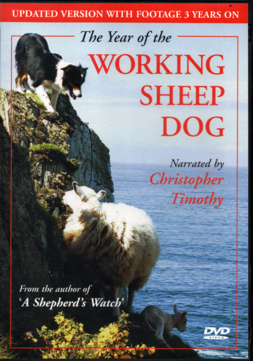 The Year Of The Working Sheep Dog DVD - Updated Version With Footage 3 Years On