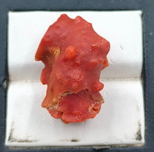 Rama de coral rojo sin pulir nueva llegada rama Tukdi piedras preciosas para hacer joyas