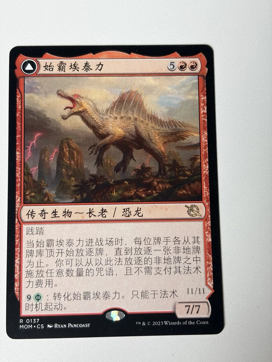 25+ Magic: The Gathering Individual Trading Card Games in Chinese