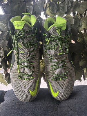 Nike LeBron 12 Dunkman Men's basketball Shoes Size 9 Dunk Force 684593-001