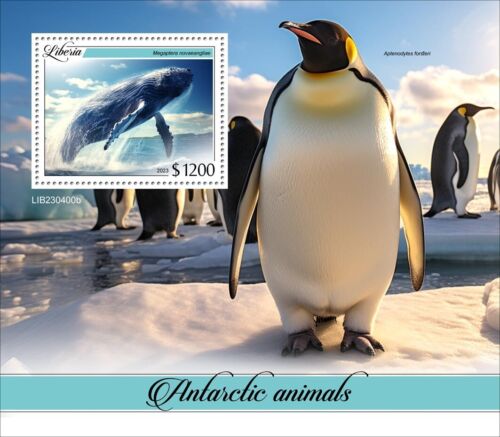 Francobolli pinguino balena animali antartici nuovi con risalto 2023 Liberia S/S - Foto 1 di 1