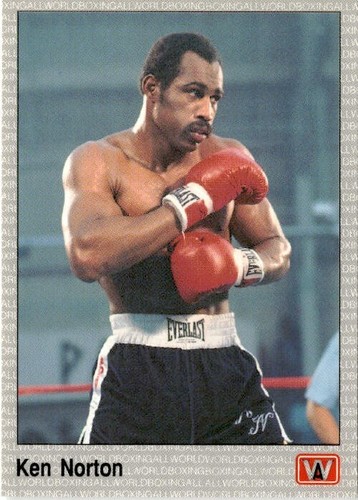 Vintage AW Sports 1991 All World Boxing Premier Edition Single Cards - You Pick - Picture 36 of 225