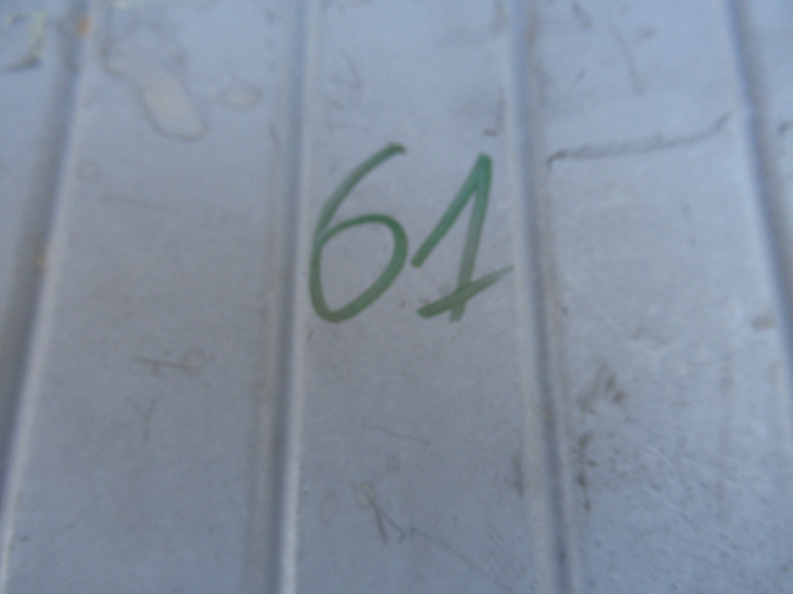 Picture 13 of 13