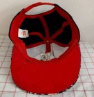 Foto 6 di 6