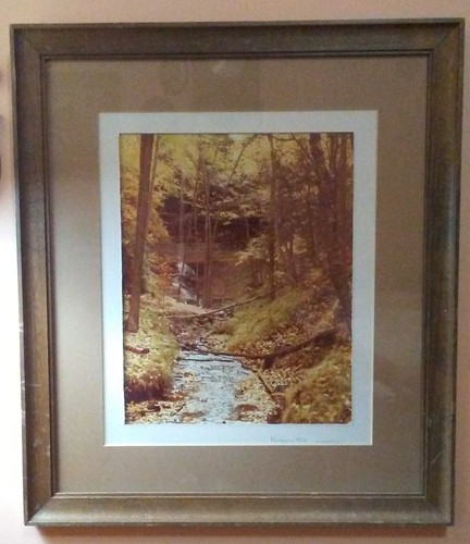 1976 Framed Signed Photograph Michigan Waterfall Nature Landscape