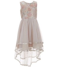 NWT Rare Editions Embroidered Beige Champagne and Pink Hi Low Formal Dress
