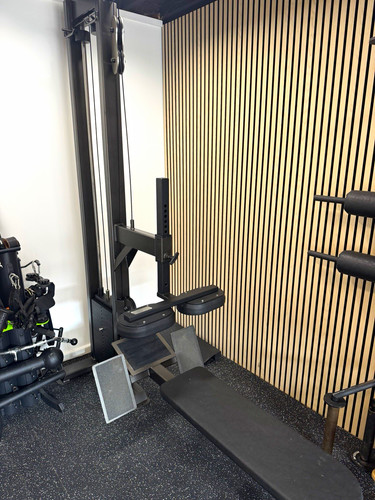 Watson Gym Lat Pull Down and low row Machine, Selectorised 90kg Weight ...