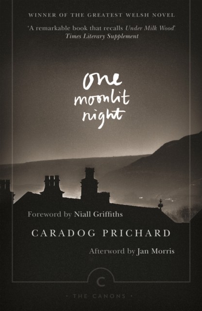 One Moonlit Night by Caradog Prichard PAPERBACK - Image 5