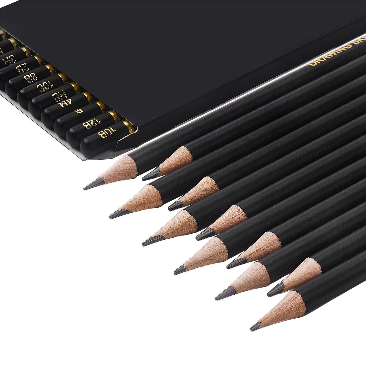 TAMATA 12 Pc Professional Graphite Sketching Pencil Set (12B-4H) for Artists