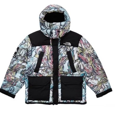 supreme the north face 700 fill down jacket - multicolor dragon