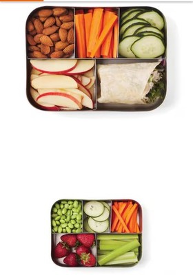 BITS KITS Stainless Steel Bento Box Lunch and Snack Container for Kids and Adult