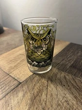 Vintage 1970’s Libbey Owl Pattern Juice Glass