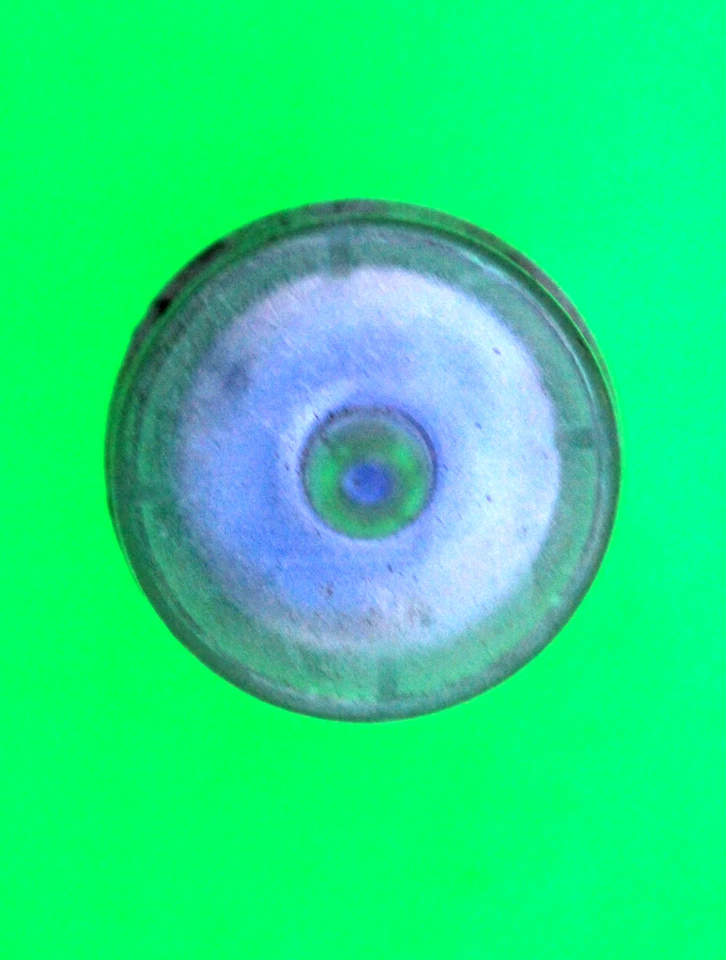 FEDERAL MOTORS PLASTIC Fuel Filter PUSH ON 8mm PIPE FITTINGS 59 x 48mm - Imagem 4 de 4