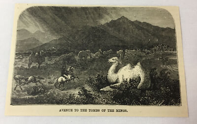 1885 magazine engraving ~ AVENUE TO THE KINGS OF THE MINGS China