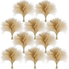 450 PCS Exquisite Natural Pampas Grass Decor - Versatile Reed Grasses for Home