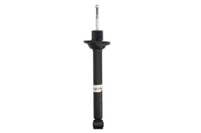 Hinterachse Magnum Technology AHG059MT Stoßdämpfer für FORD