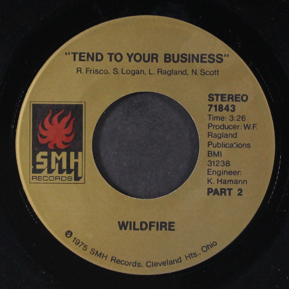 WILDFIRE: tend to your business / part 2 SMH 7