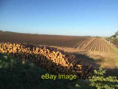 Photo 6x4 Wood stack, Drem A field has been prepared for potatoes in very c2020