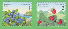 STRAWBERRY & BLUEBERRY STAMP 1992 CANADA UNUSED POSTAGE EDIBLE BERRIES PLANT MNH