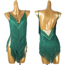 Adult Latin Performance Fringes Dress Rhythm Ballroom Salsa Cha Cha Rumba Dress