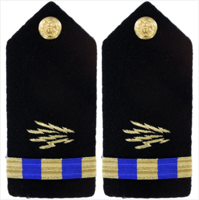 GENUINE U.S. NAVY SHOULDER BOARD: WARRANT OFFICER 3 INFORMATION SYSTEMS TECHNICI