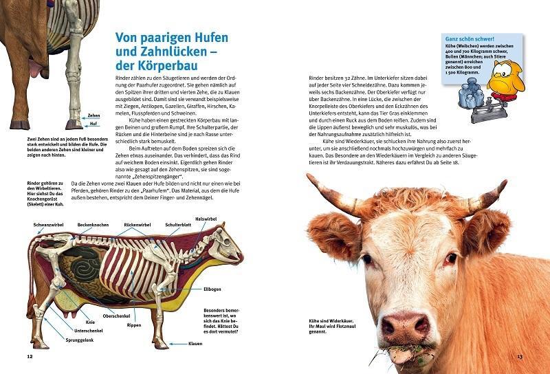 Thumbnail - Jutta Heise Entdecke Die Kühe