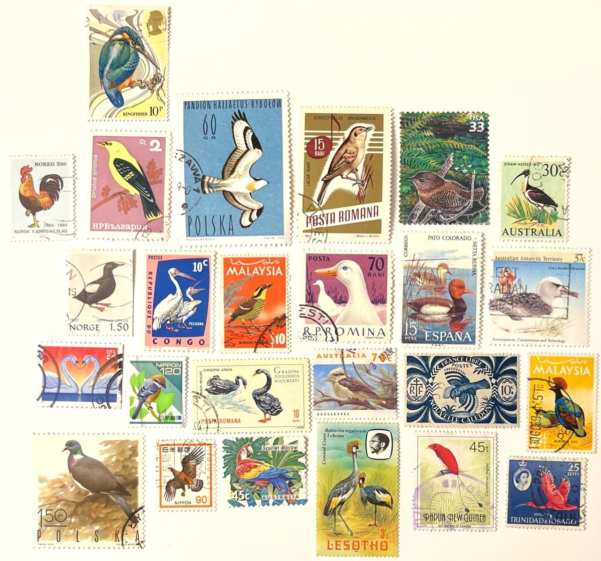 25 Stamp BIRD Fun Pack // Random Lot of 25 Premium World Bird