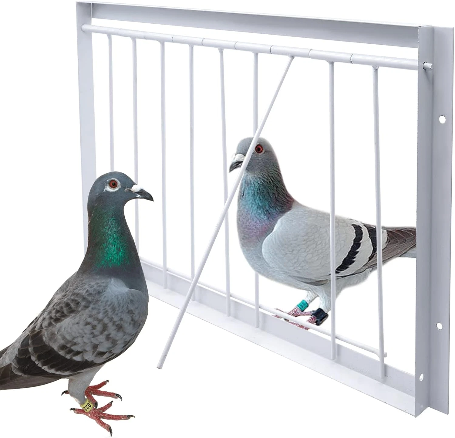 15.7In/40Cm Pigeon Cage Door One Way Entrance Door Bird T-Trap Birdcage Iron Wir