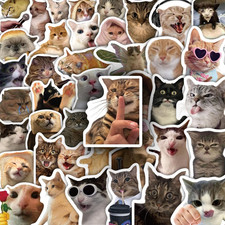 100 Pcs Cat Stickers, Funny Cat Meme for Water Bottles Laptop Scrapbook, Cute Vi