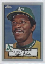 Click to enlarge Vida Blue