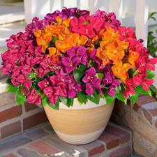 Artificial Bougainvillea Flowers Fake Plants for Outdoors Porch Planters, UV Res