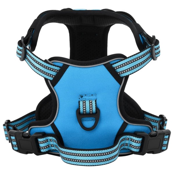 Hundegeschirr Mit Leine & Halsband Verstellbar Blau Xl-image