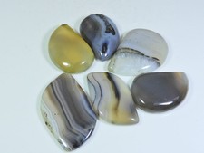 248Cts. Natural Botswana Agate Fancy Cabochon Loose Gemstone 6 Pcs Lot