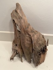 Natural Driftwood 15  X 9  X 9  Wide upright Terrariums, Art, Decor, Aquarium