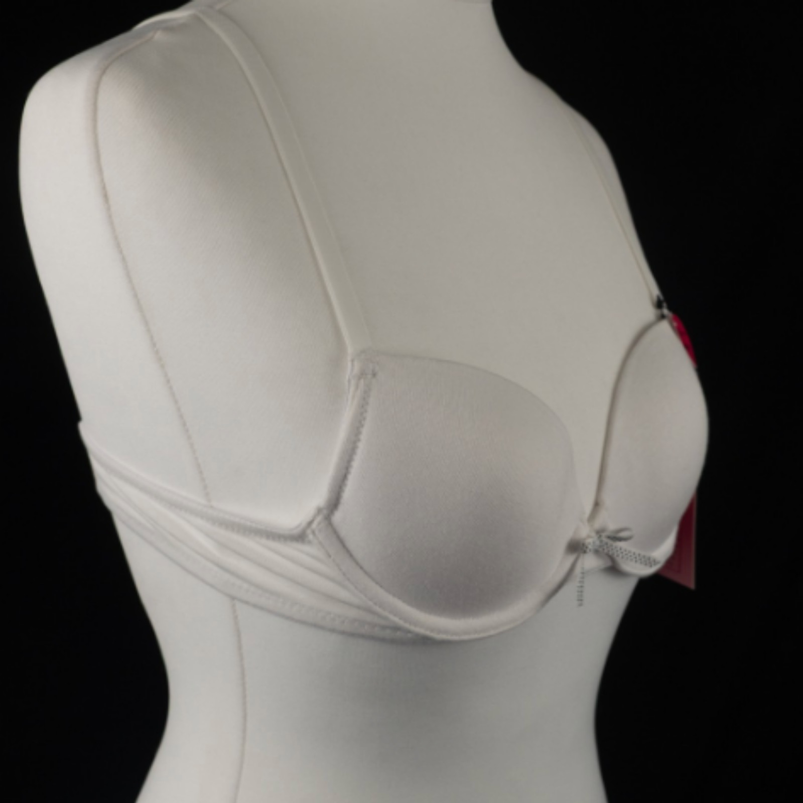 White T-Shirt Underwired 30B Bra by Boobs & Bloomers NWT image 2