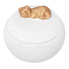 350ml Small Pet Urn For Ashes Concrete Memorial Keepsake Box Cat Ashes Container